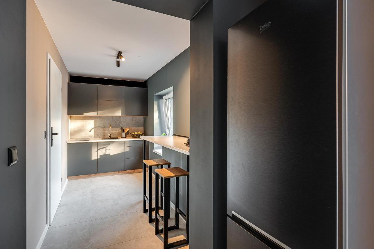 Loft House Apartment Studio Z Ogrodkiem 3 Rybnik  Eksteriør billede